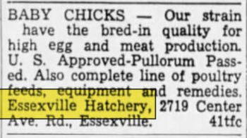 Essexville Hatchery - May 1952 Ad
